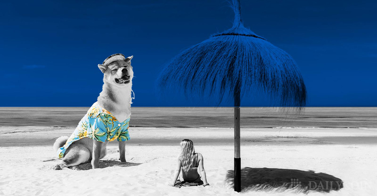 Shiba Inu Shib Unveils A Hidden Resort In Shib The Metaverse Dailycoin