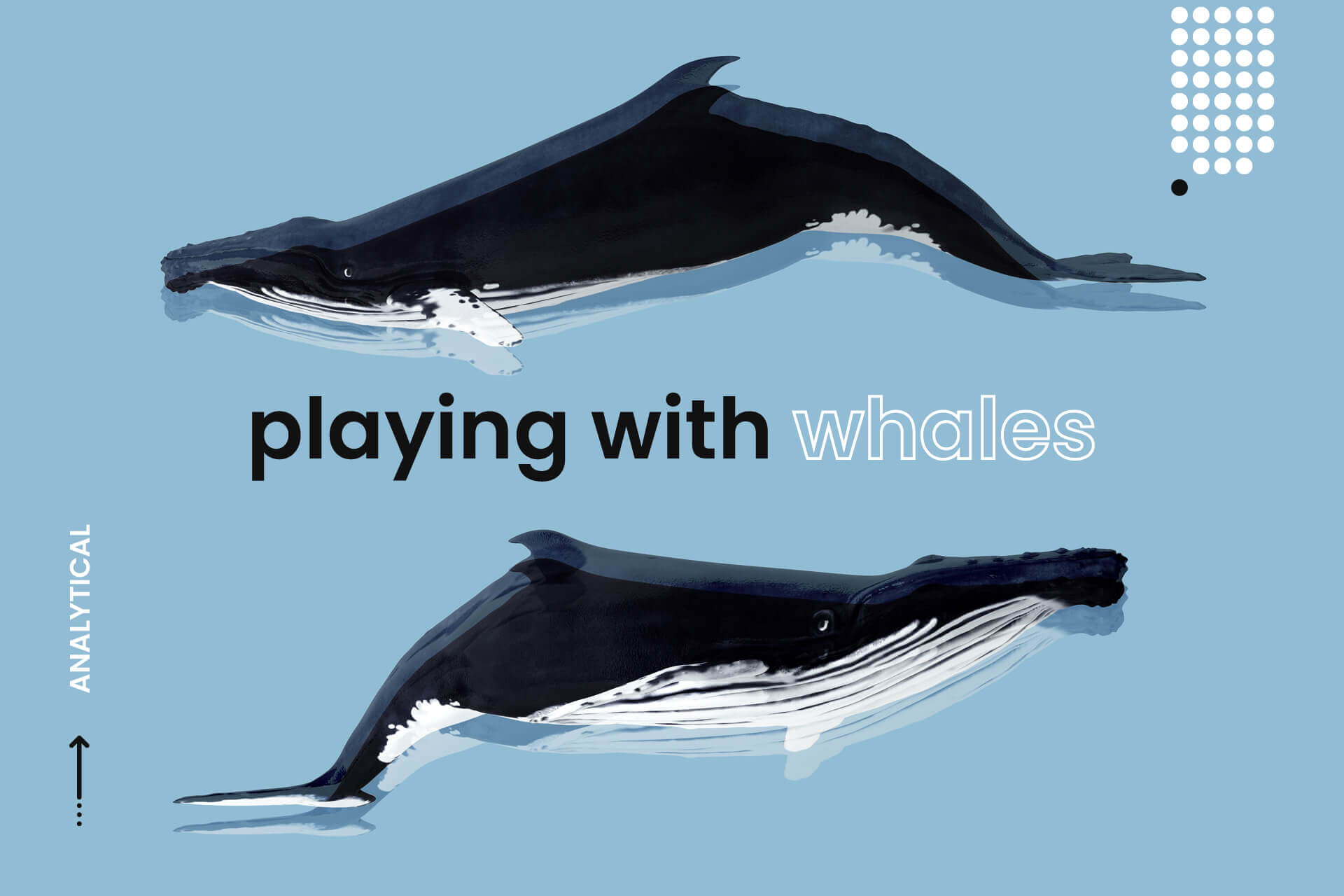 mega whales bitcoin