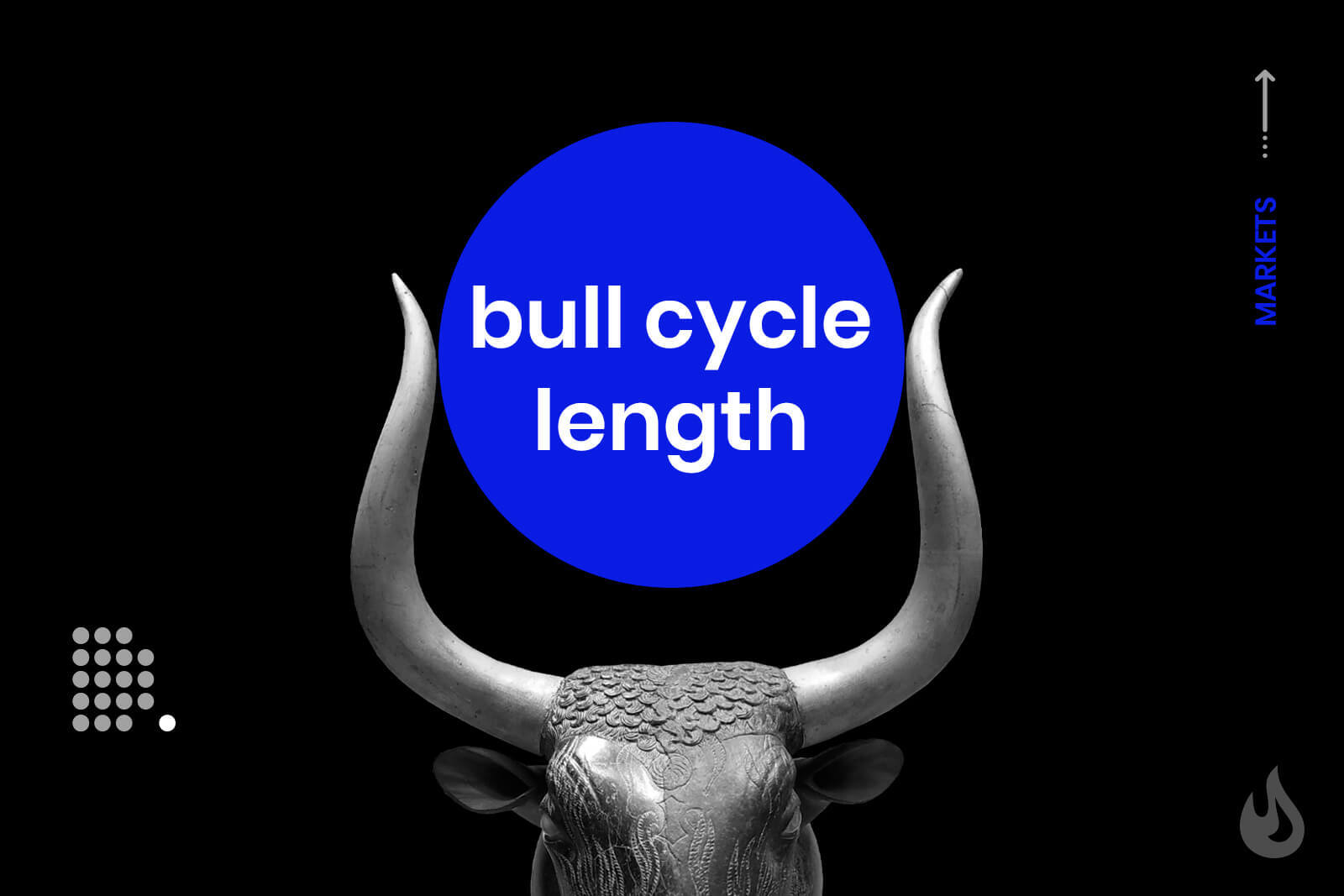 crypto bull