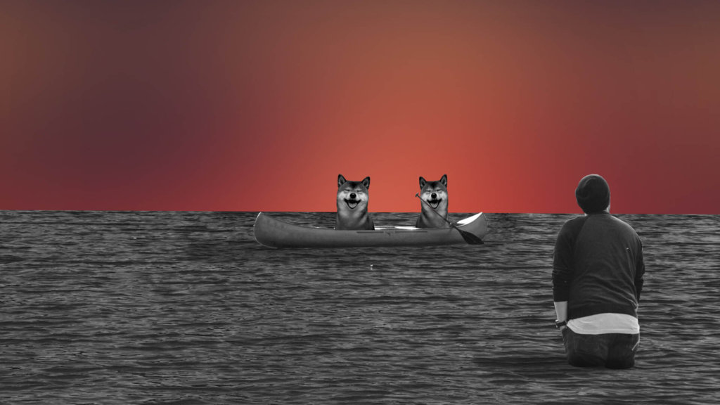 Shiba Inu: Two Dogs in a Boat, Nothing to Say of a Man