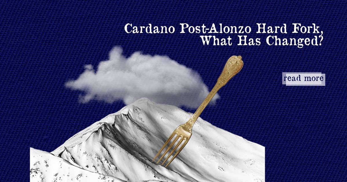 Cardano Post-Alonzo Hard Fork, What Has Changed?