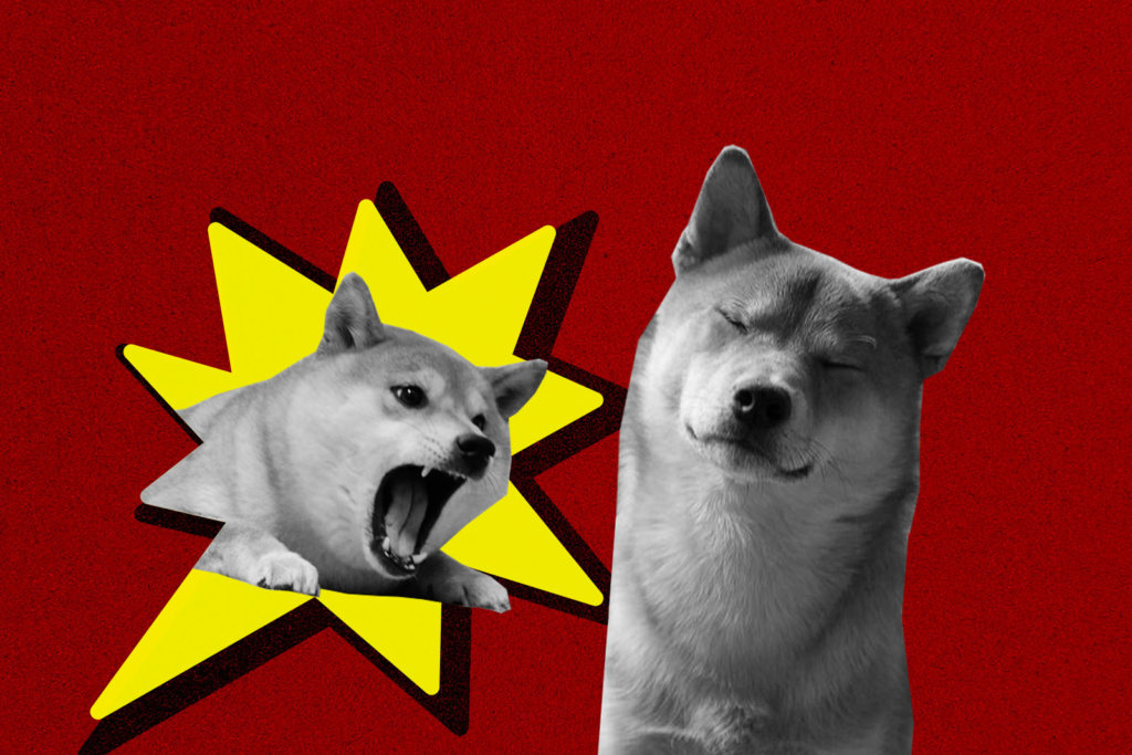 Shiba Inu Community Screams at Dogecoin Founder