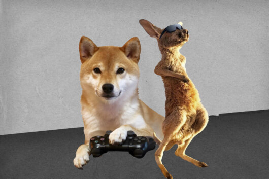 Shiba Inu Games Partners with Australia’s Largest Video Game Developer, Making SHIB More Useful than Dogecoin