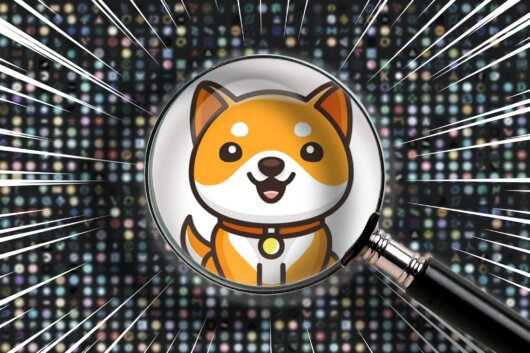 Coin Healthcheck: BabyDoge Coin (BABYDOGE)