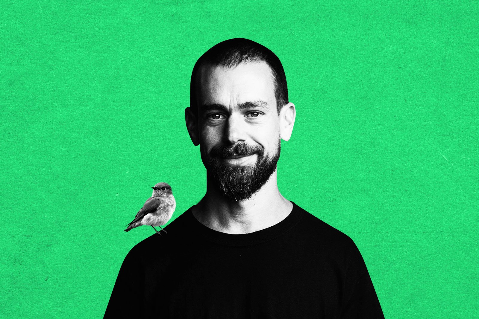 Jack Dorsey Leads the Charge to Launch a Bitcoin Defense Fund: Who is it For? — DailyCoin