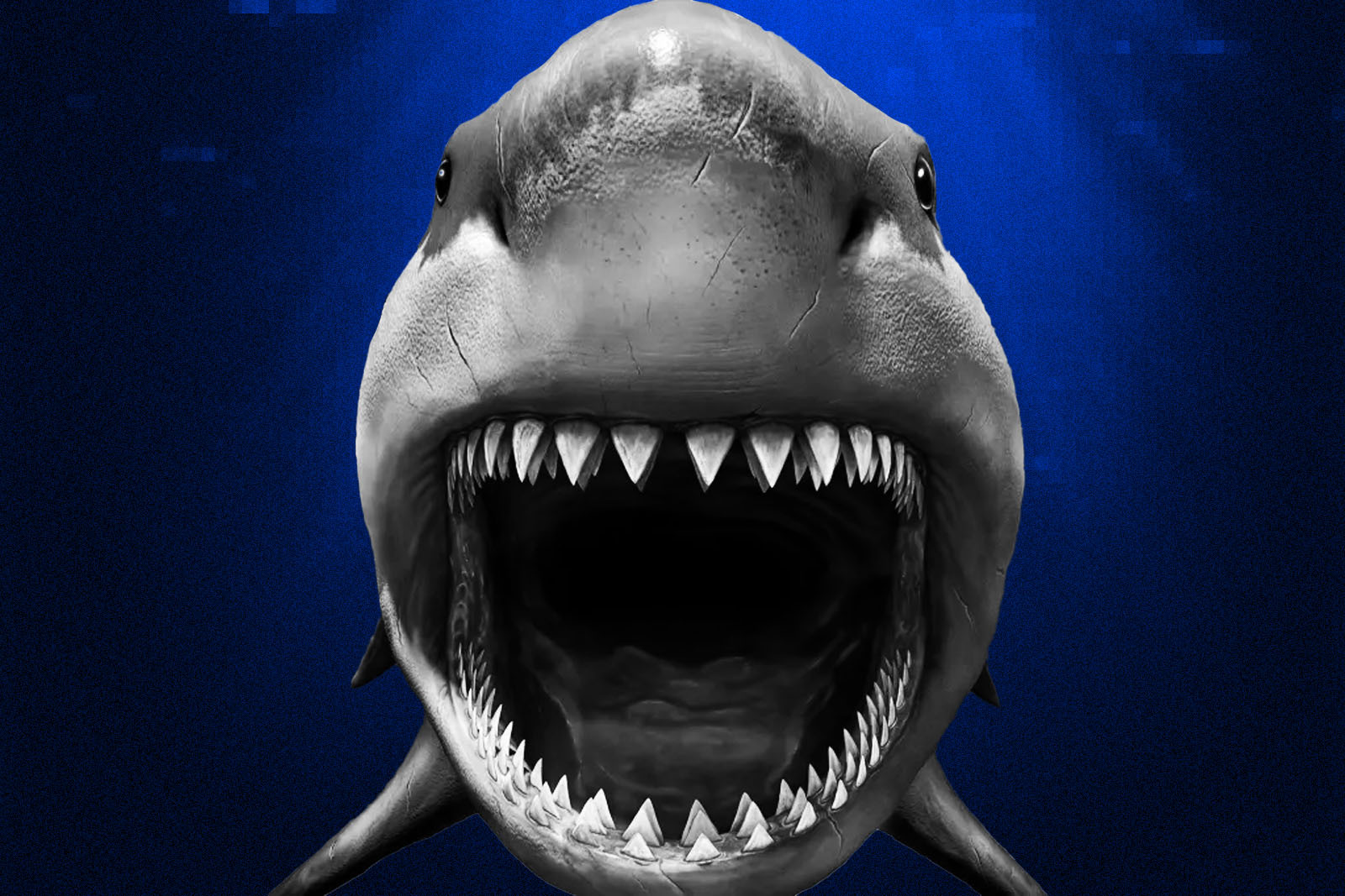 Shark Mouth Card 