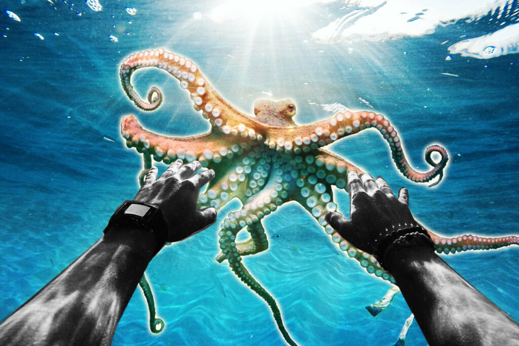 Huobi Incubator Co-hosts Second Cohort of the Octopus Accelerator Program with Octopus Network to Support Web3 Start-ups