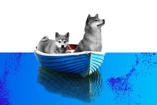 The Boat Is Getting Overdogged: Dogecoin and BabyDoge Set New Records