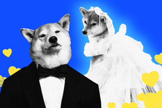 Did Shiba Inu Just Got married? Here comes Shiba’s Wife