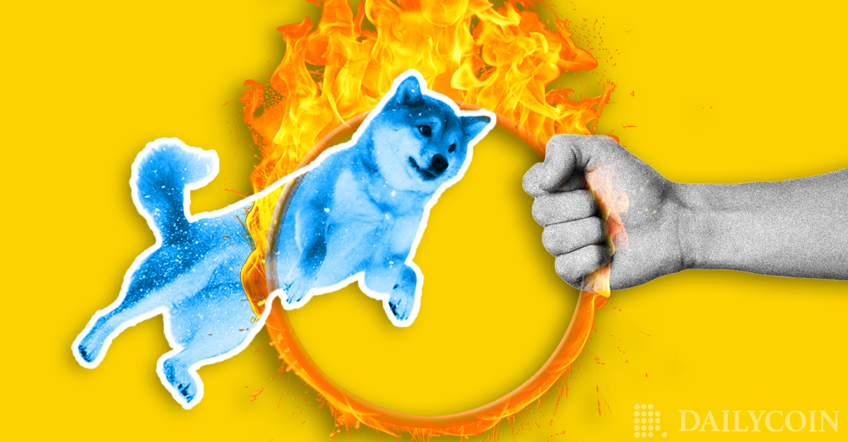 Shiba Inu on Fire: Nearly 13 Billion Tokens Burned in the Last 24 Hours — DailyCoin