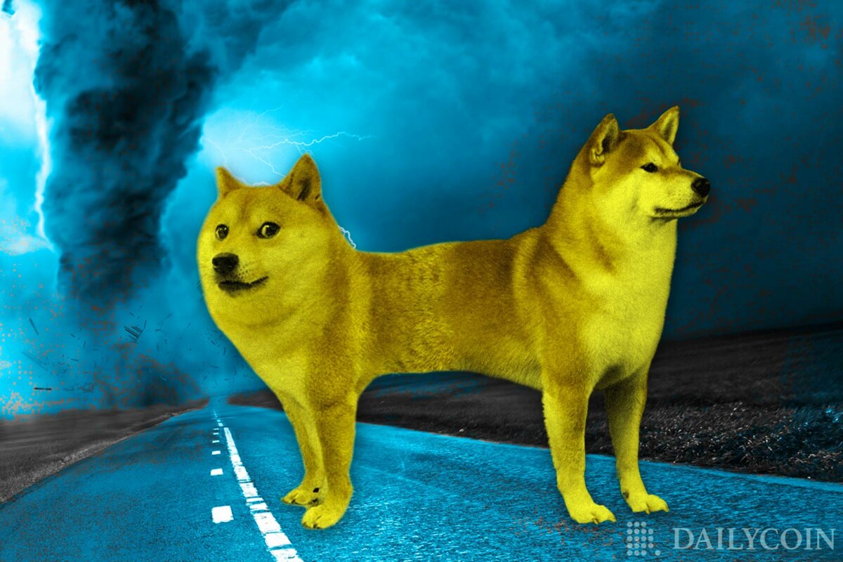 Shiba Inu Vs. Dogecoin: Who Will Survive The Crypto Beatdown? - DailyCoin