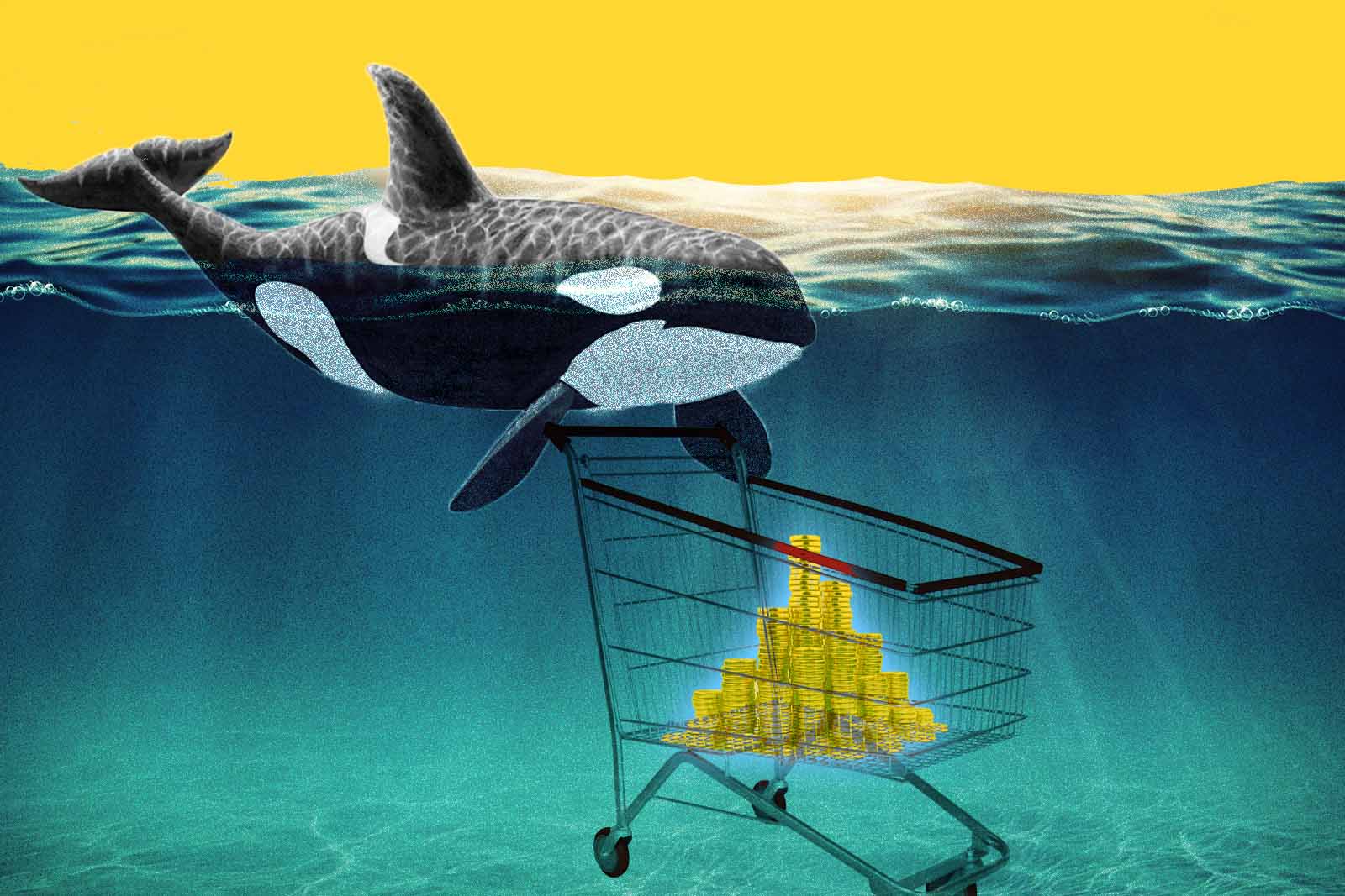 Crypto whale carrying a shopping trolley are buying crypto coins underwater.