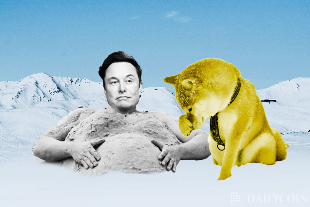 Elon Musk Pledges Continued Support for Dogecoin Despite Lawsuit and Bearish Market