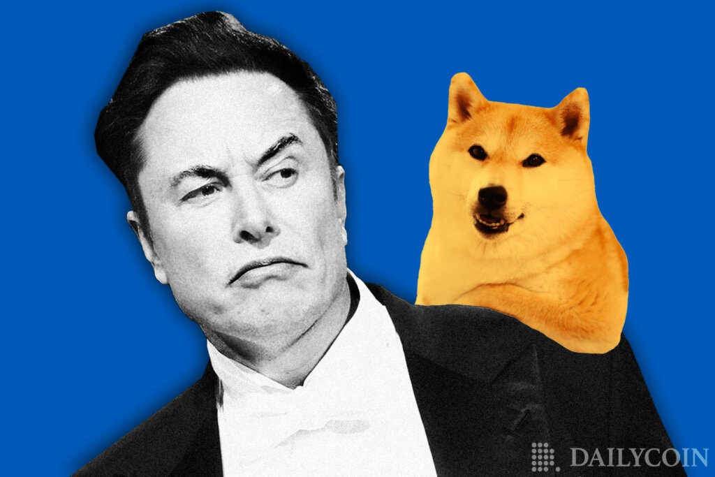 Elon Musk Mocks Dogecoin Founder Over Suggested Twitter Bot Solution