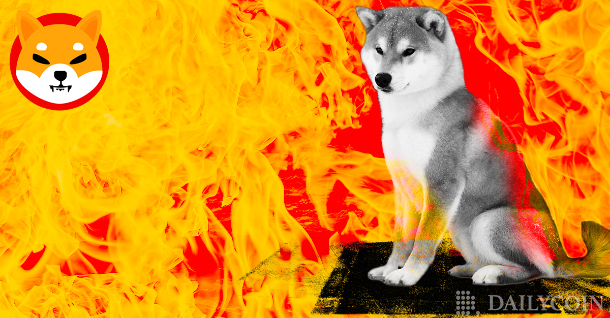 Shiba Inu (SHIB) Burn Rate Accelerates By 123% Prior To Shibarium ...