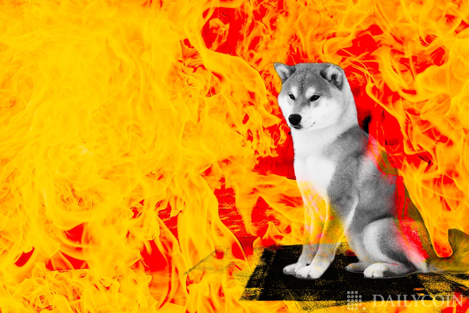 SHIB Burn Rate Spikes 332%, Over $329 Million Shiba Inu Tokens Set Ablaze