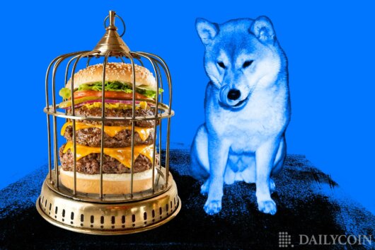 Discord of Shiba Inu Food Chain Welly’s Breaks Down in Phishing Exploit