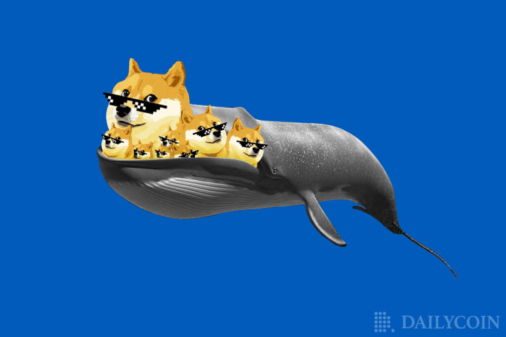 Sharp Rise In Whale Activity Detected On Dogecoin (DOGE) & Polygon (MATIC)