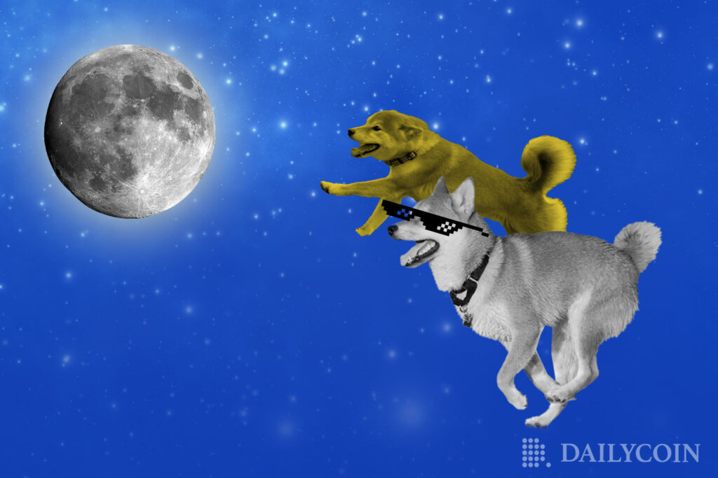 Course de chiens entre SHIB & DOGE : quel Memecoin ira sur la Lune en premier ?