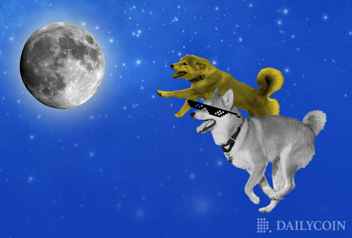 The Dog Race Between Shiba Inu (SHIB) and Dogecoin (DOGE)