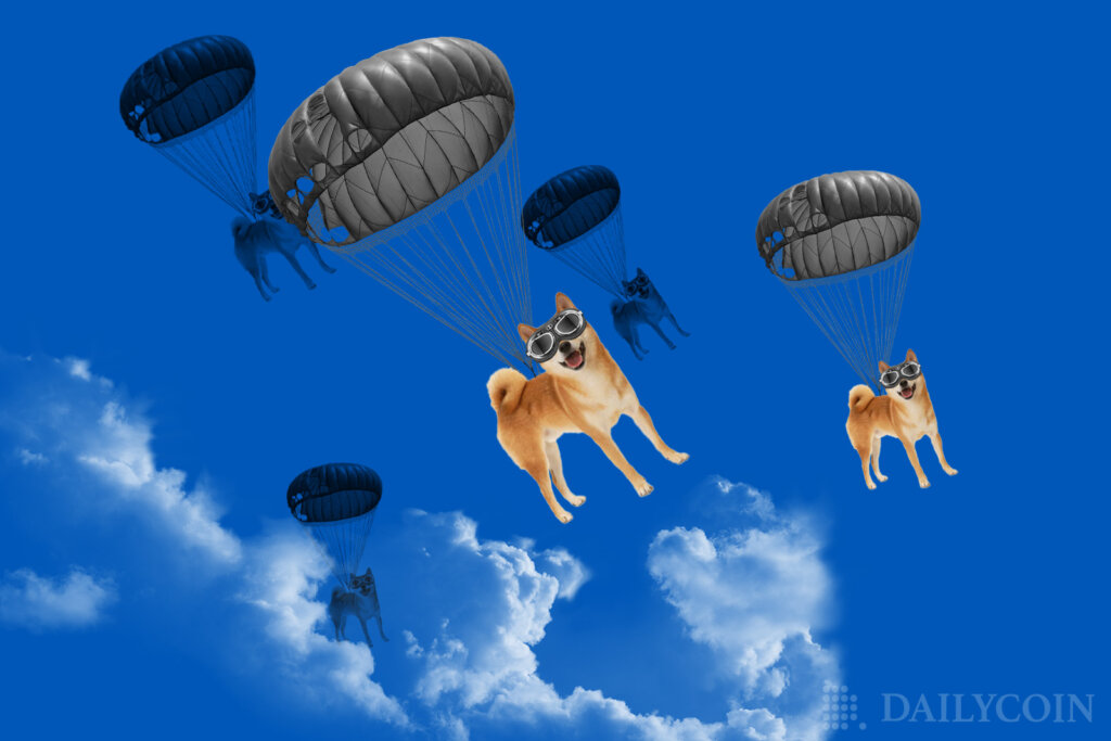 Dogechain Launches New Governance Token, 12% of Supply to Be Airdropped