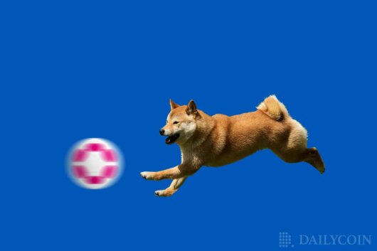 Polkadot (DOT) Overtakes Dogecoin (DOGE) By Market Cap Despite Core Update