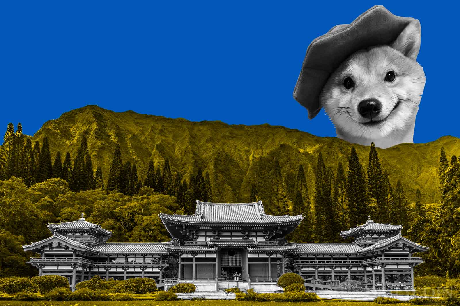 Shiba #25 Nifty Gateway