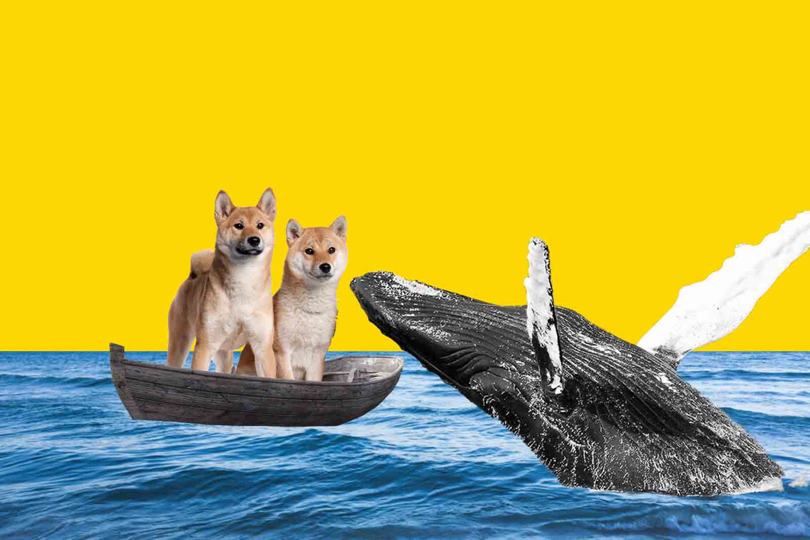 Shiba Inu (SHIB) and Dogecoin (DOGE) boat rocked by Ethereum (ETH) Whales