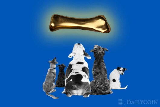 Shiba Inu’s (SHIB) Bone ShibaSwap (BONE) Rises 88% In Just A Day – Here’s Why