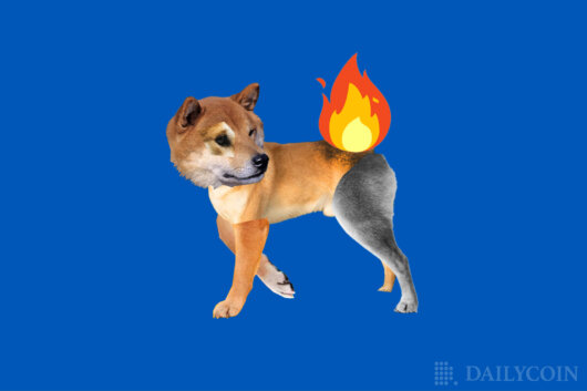 Shiba Inu (SHIB) Main Developer Teases Additional SHIB Burning Options