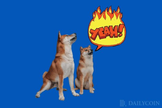 Shiba Inu (SHIB) Presents Fireside Chats On Discord As SHIB Burn Rate Intensifies