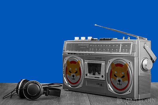 Shiba Inu (SHIB) Releases Shibburn Radio App As SHIB Burn Rate Jumps 92%