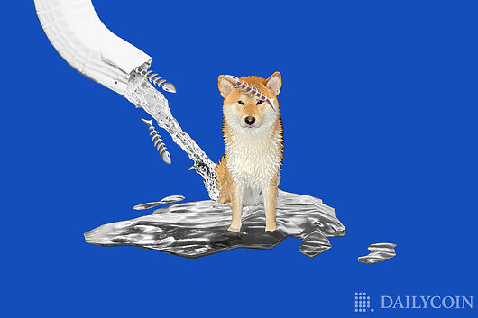 Shiba Inu (SHIB) Falls Below Support Despite Interest from Ethereum (ETH) Whales