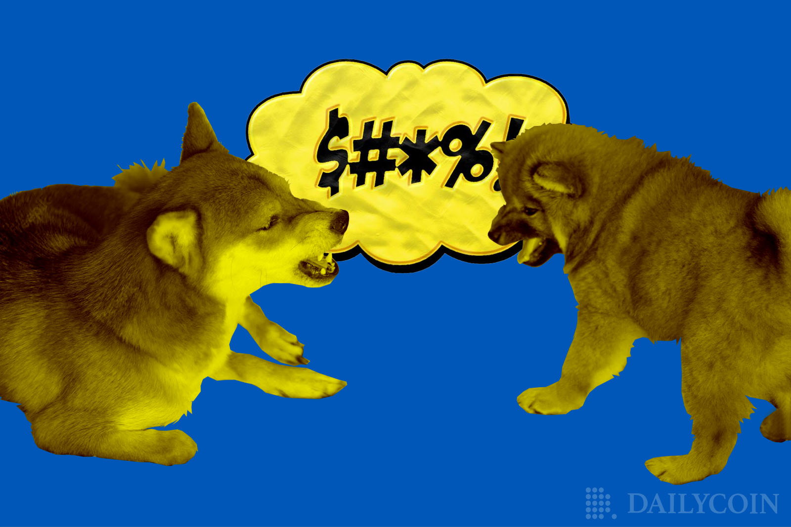 shiba inu doge fight argue brawl angry dogs