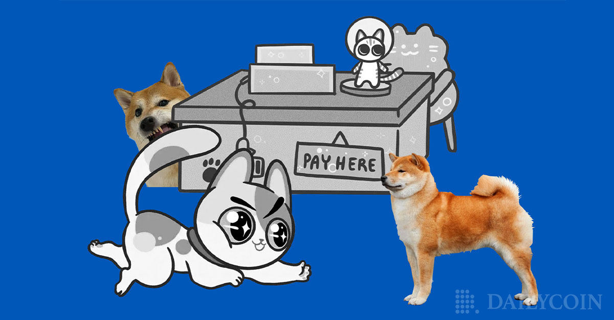 Big Eyes Coin (BIG) Raises $8M to Contest Dogecoin (DOGE) & Shiba Inu ...