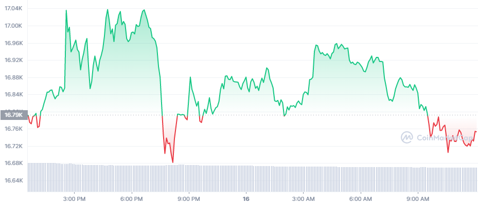 The 24 hour price chart for Bitcoin (BTC)