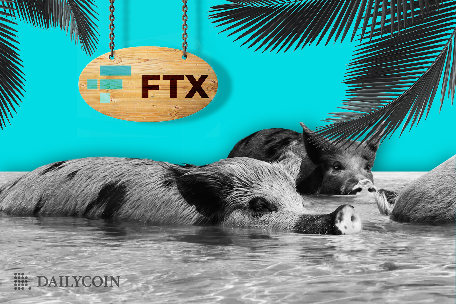 Two pigs are swimming in front of a wooden sign with FTX logo on it