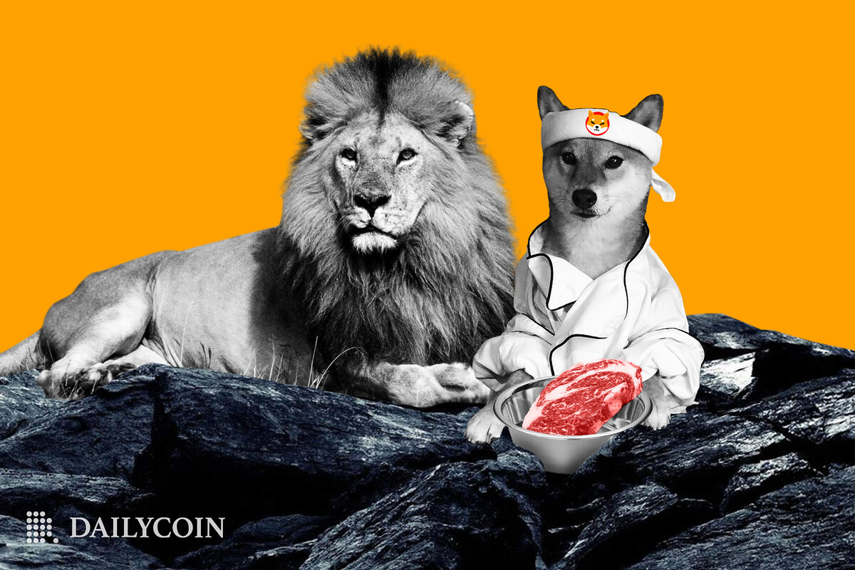 crypto.com shiba