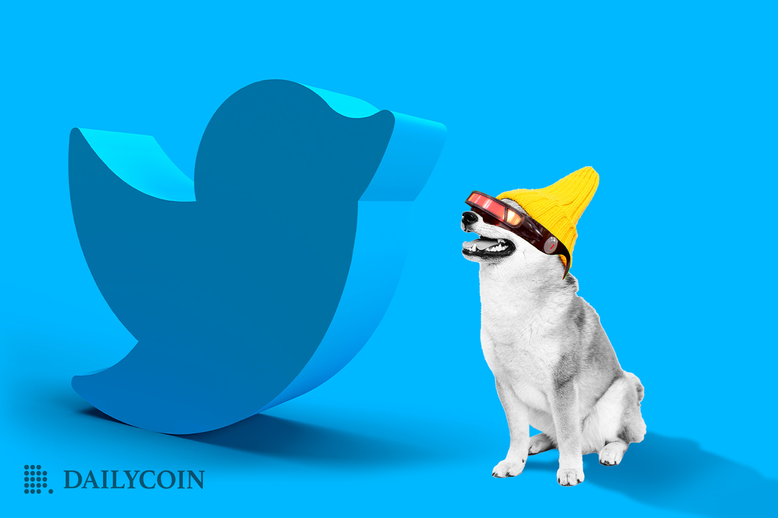 Dog looing at a giant Twitter logo bird