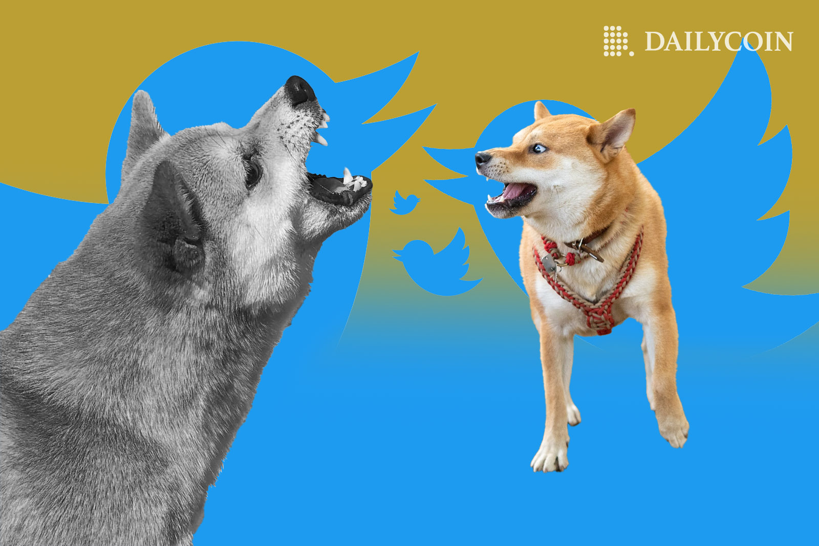 Dogecoin (DOGE) Founder Takes A Jab At Shiba Inu (SHIB) On Twitter