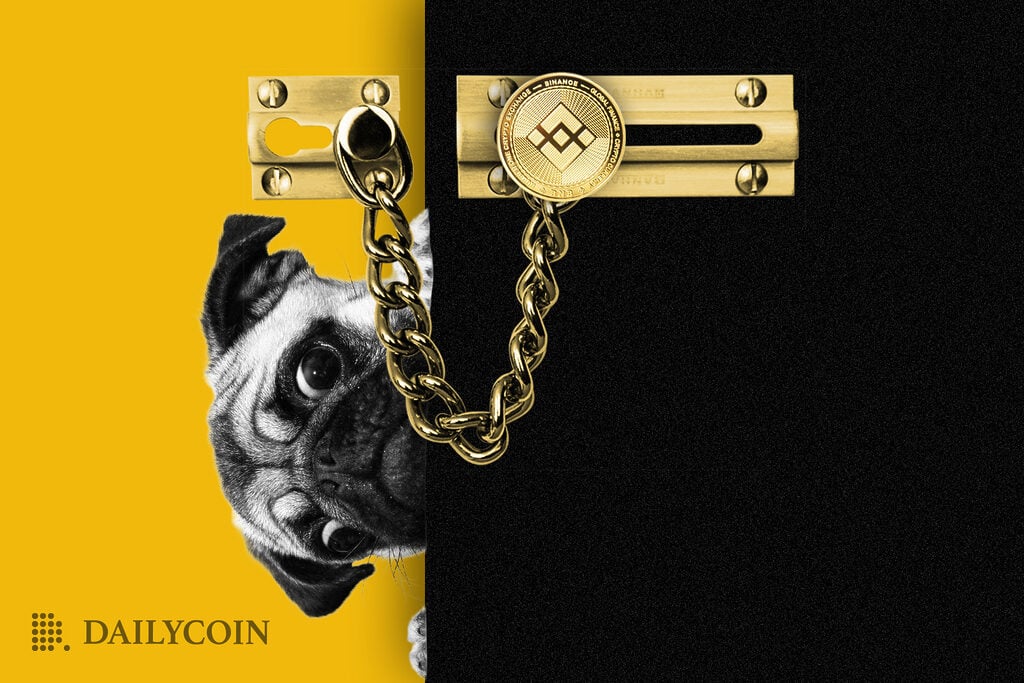 Pug behind locked black door with golden chain