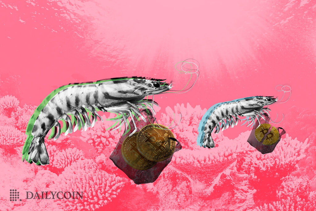 Tiger shrimps at pink ocean above pink corals are carrying brown bags of bitcoin