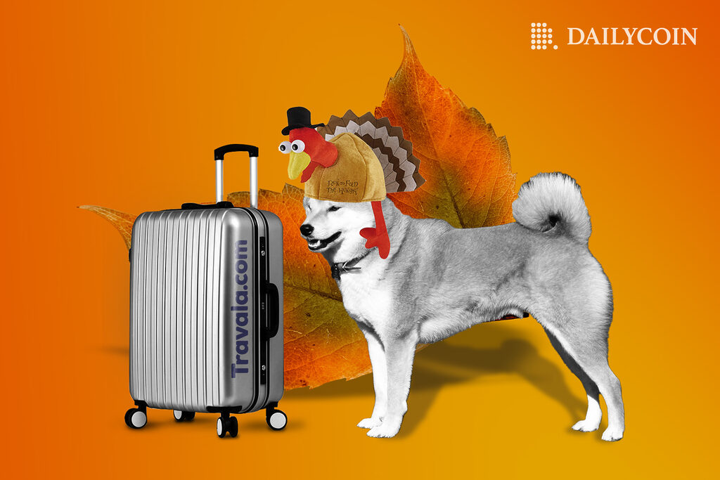 Shiba Inu with a turkey hat on near a luggage in front of a huge brown leaf