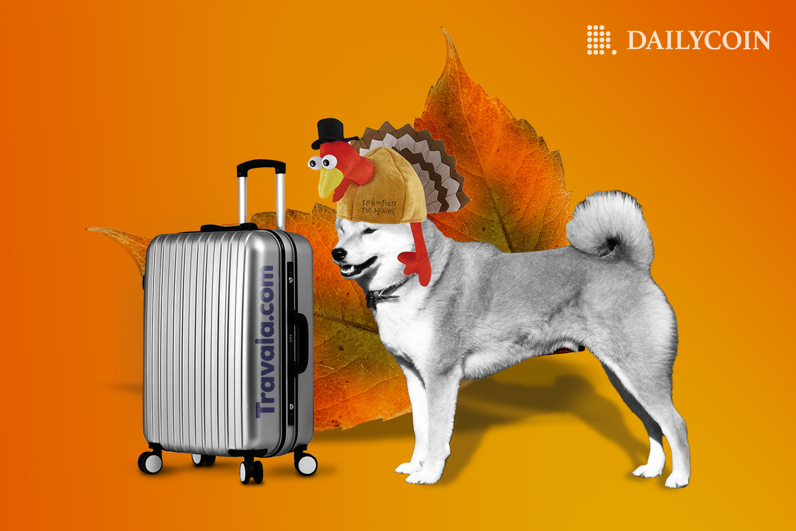 Shiba Inu with a turkey hat on near a luggage in front of a huge brown leaf