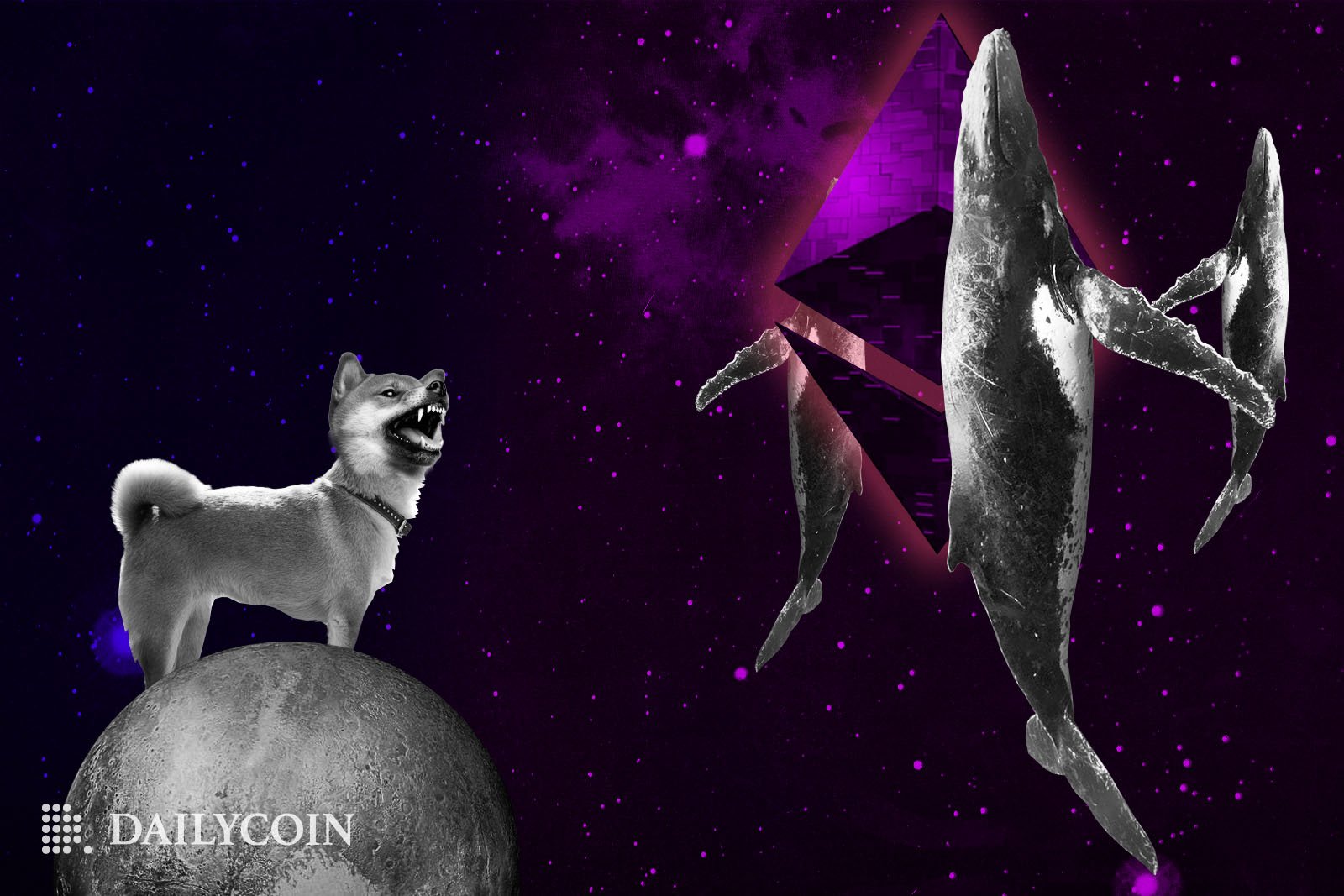 Shiba Inu Price Sends Wake Up Call Sleeping Ethereum Whales dog space barking