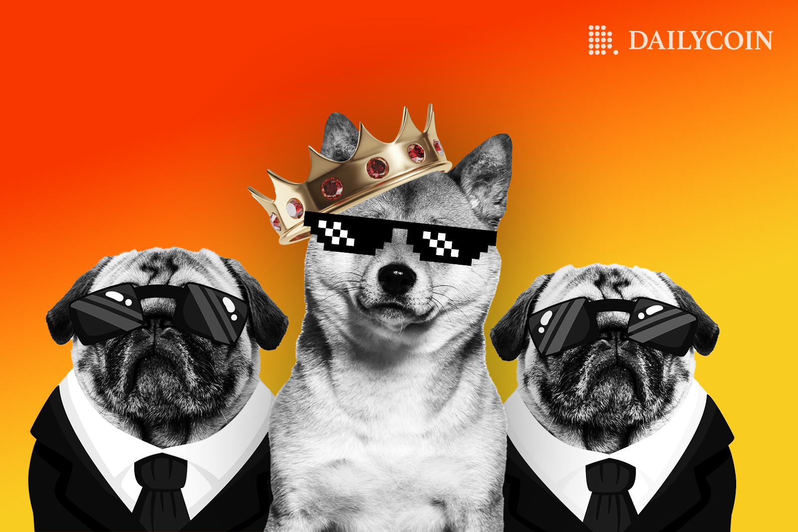 Shiba Inu in between two pugs with tuxedos wearing a crown and sunglasses