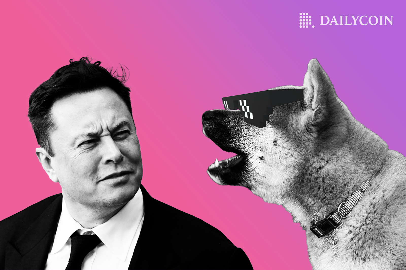 Elon Musk confused staring at Shiba Inu with sunglasses on