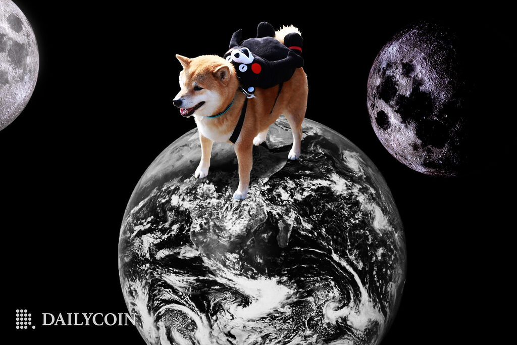 Shiba Inu’s (SHIB) Journey in 2022 – Great Expectations