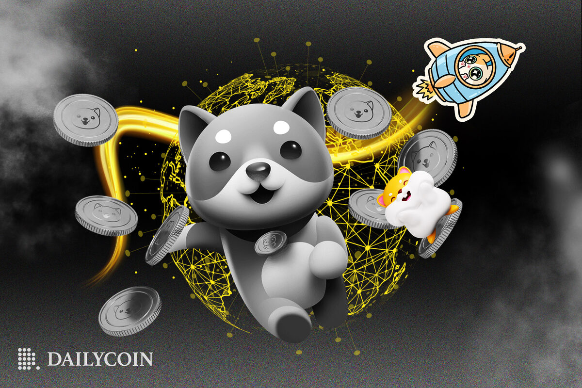 The Ecosystem of Meme Coins on BNB Chain - DailyCoin