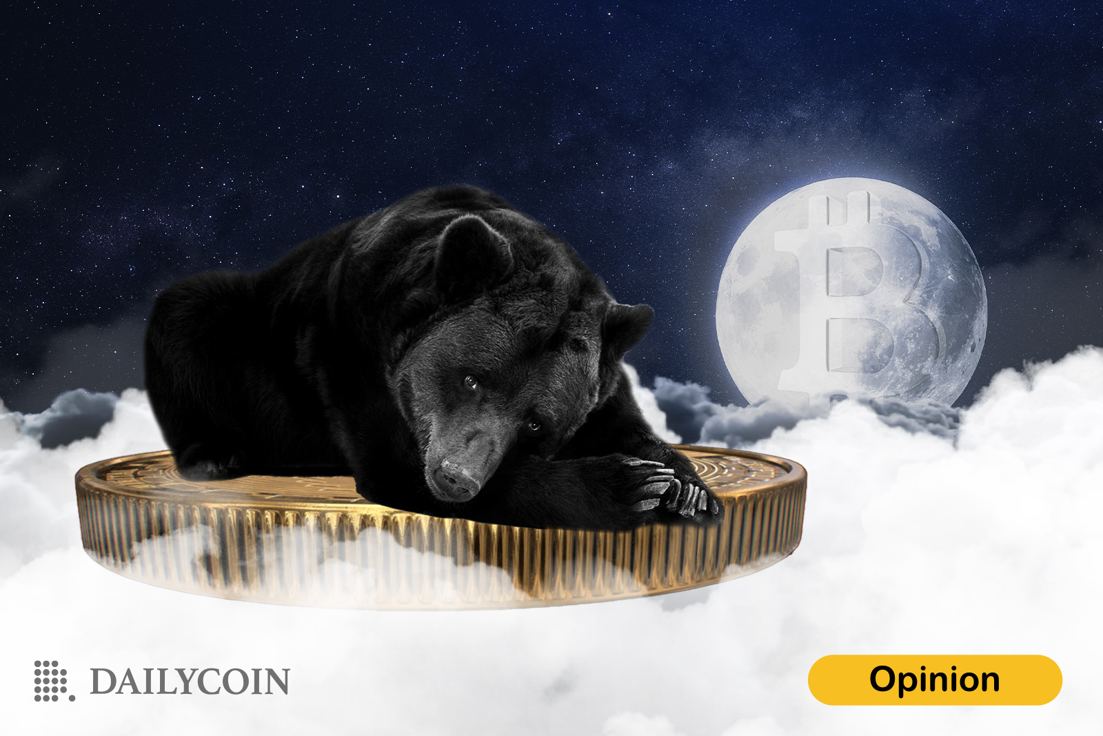 Black Bear sleeping on a Bitcoin.